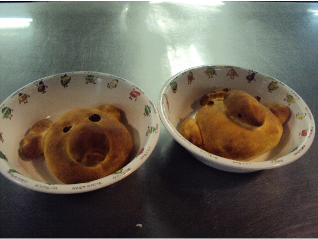 出来あがり！コアラです。