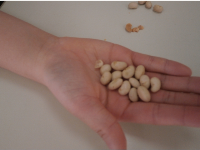 年の数プラス１つ取ることができました（8分音符）
良いことありますように