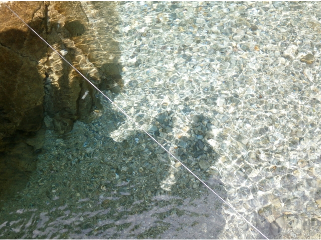 川遊び～☆とってもきれいな水です◎