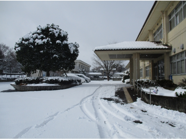 ならわ学園の雪景色です☆