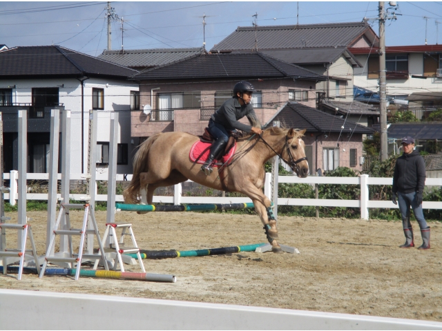 インストラクターによる、障害パフォーマンス格好良かったです☆