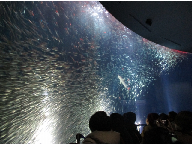 とても綺麗でした☆