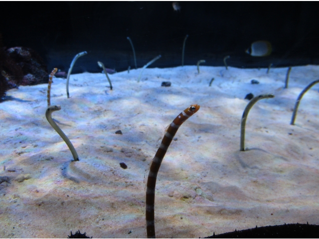 とても可愛いですね～！