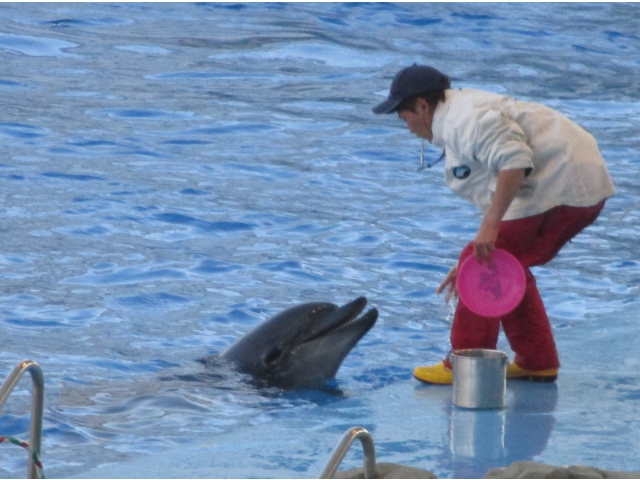 とても、お利口さんでした！