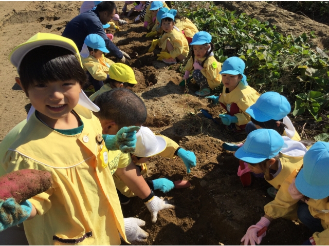 大きなお芋があったよ！！