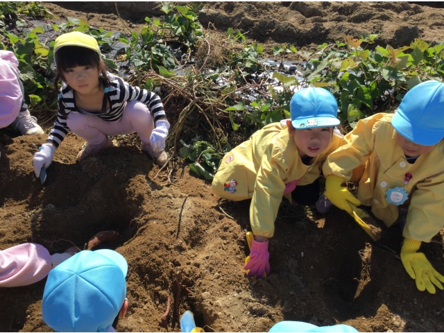 頑張って探すよ！！