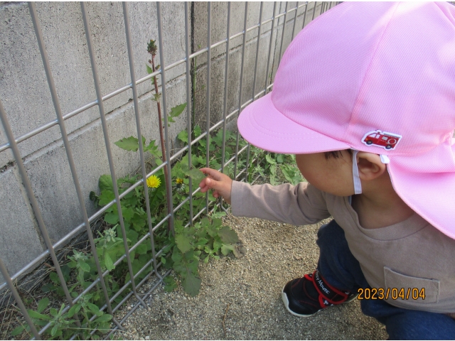 お花みーつけたっ！