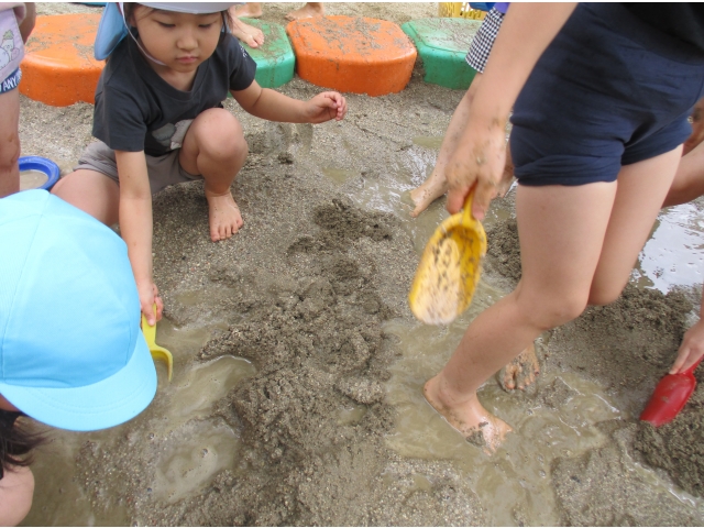 こっちは海みたい。