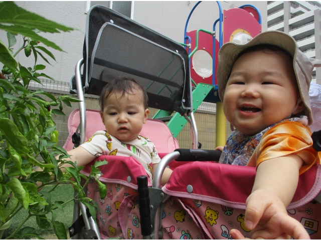 葉っぱだ！みーつけた！