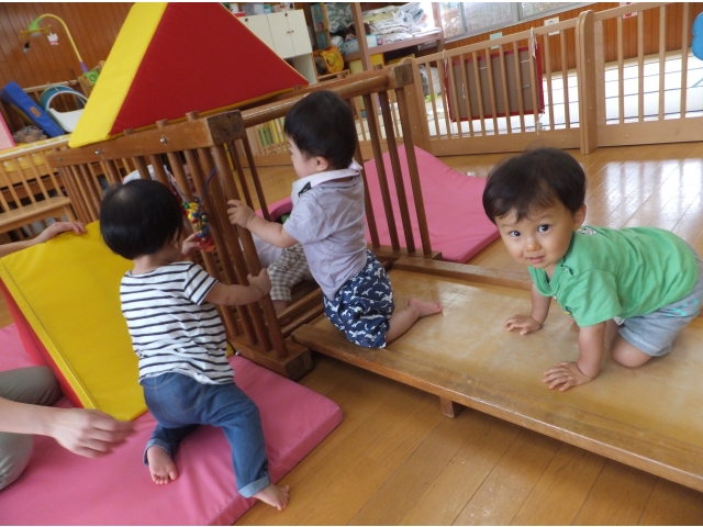 ろく木はつかまって立ったりハイハイでくぐったりするよ♪