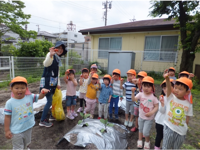 やったー、いちごだよ！