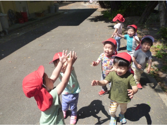 裏庭にて。
綿毛まって～！