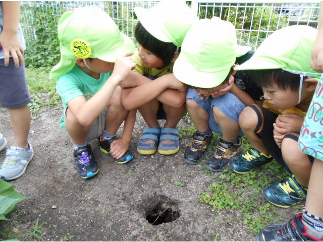 「知ってる？」
「知らない」