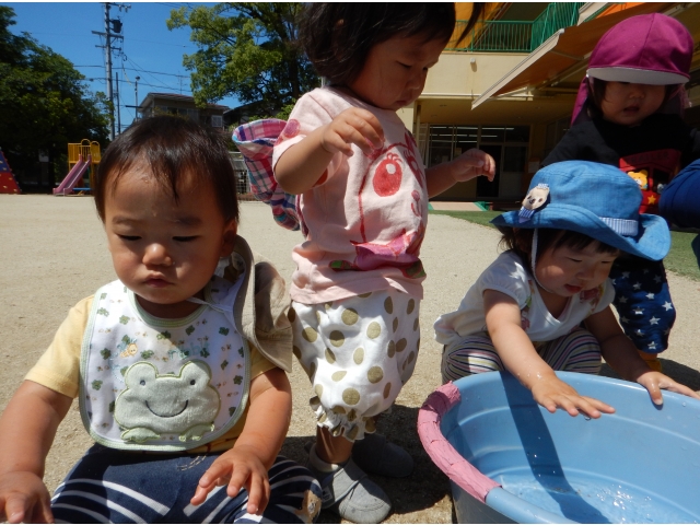 触ってみたい。