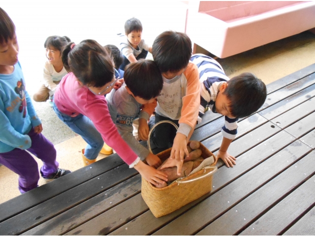 芋を選びます。