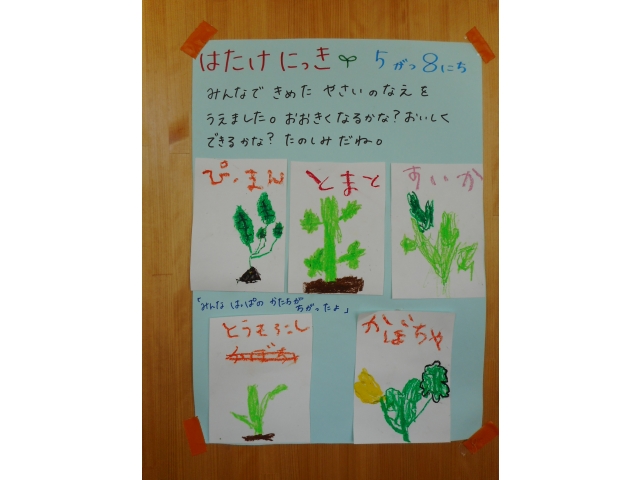 はたけにっき描いたよ。
（5歳児）