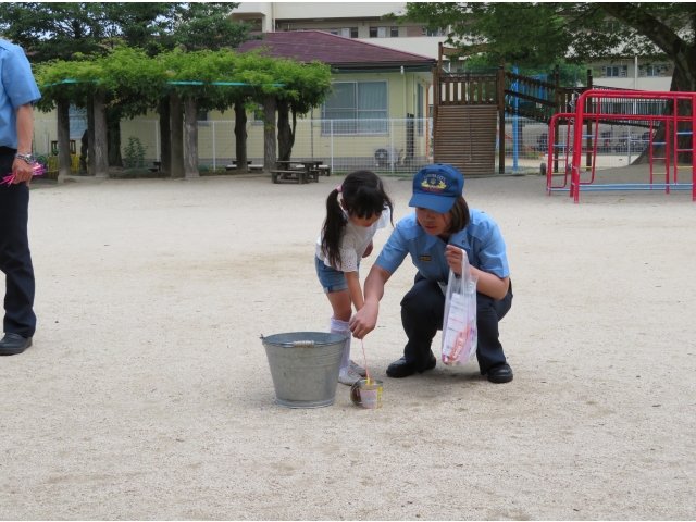 よく見てね