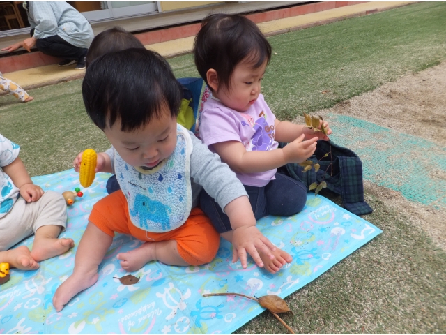 いろいろな物を触って
確かめます♡