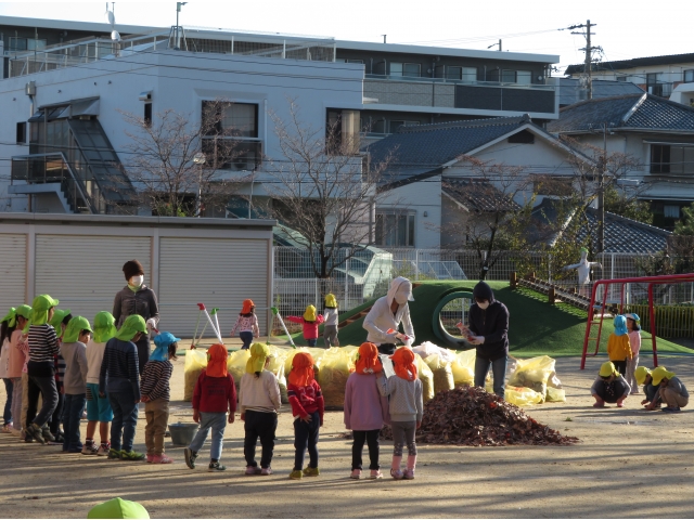 みんなで落ち葉を
運んで準備中!