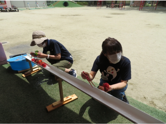 たくさんの野菜に苦戦中!