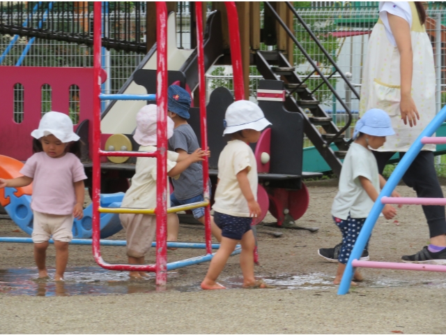 水たまりだね。