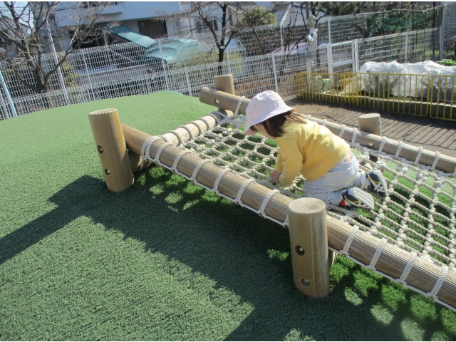 網からも登れるよ。