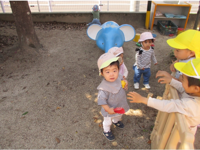 たんぽぽ組のお兄さんも遊びに来てくれて嬉しいな(*^-^*)
