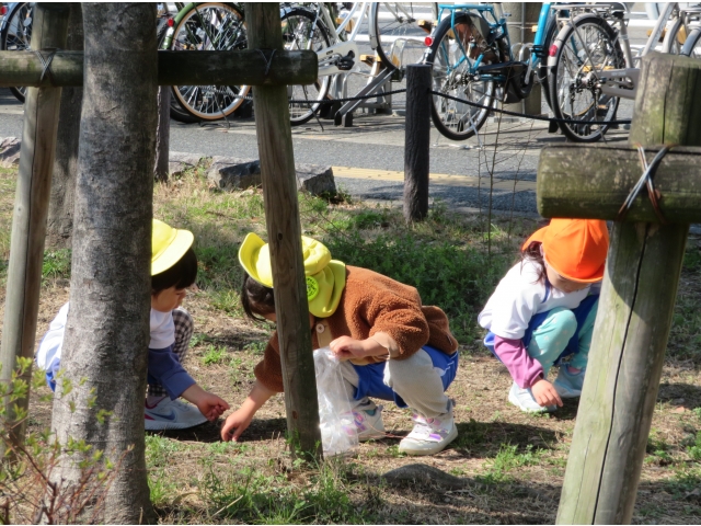 私たちは木の実拾ってるよ🍂
