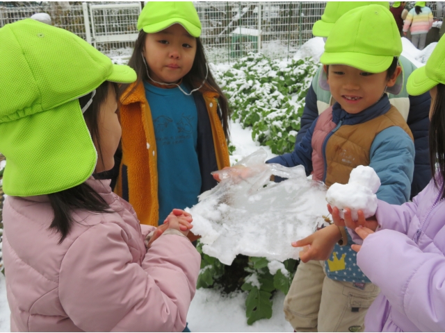 こんなに大きい氷もあったよ