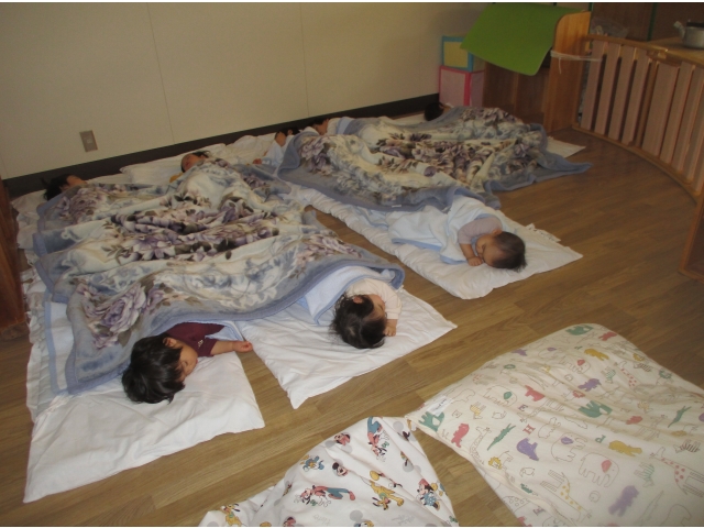 みんないっぱい食べてぐっすり眠っています(^^♪