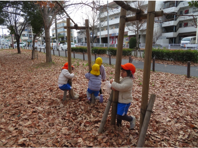 木登りってこうかなぁ？