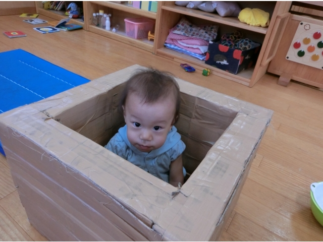入れたよ！