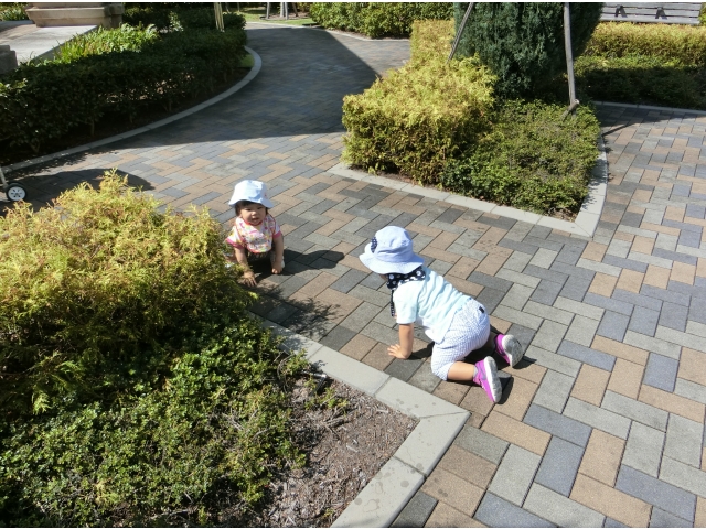 おーーい