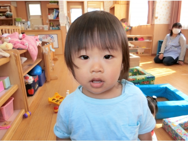 何撮っているの？