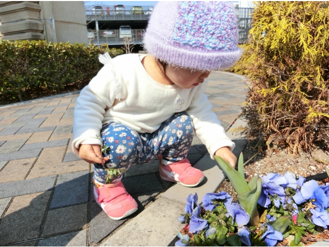 きれいだね♪