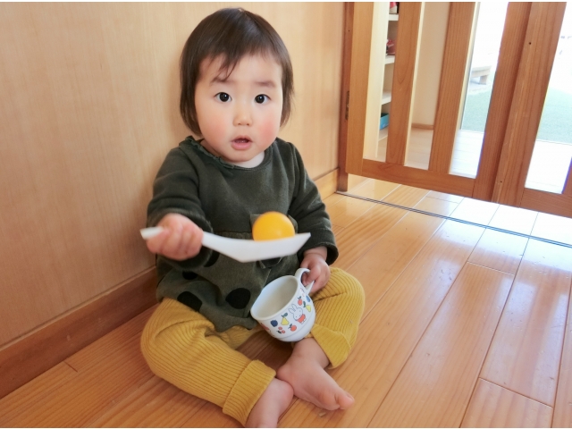すくえたね！