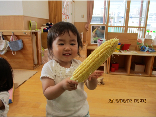 できたっ！