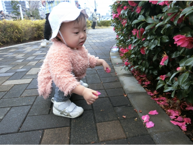 花びらを、集めているの♡