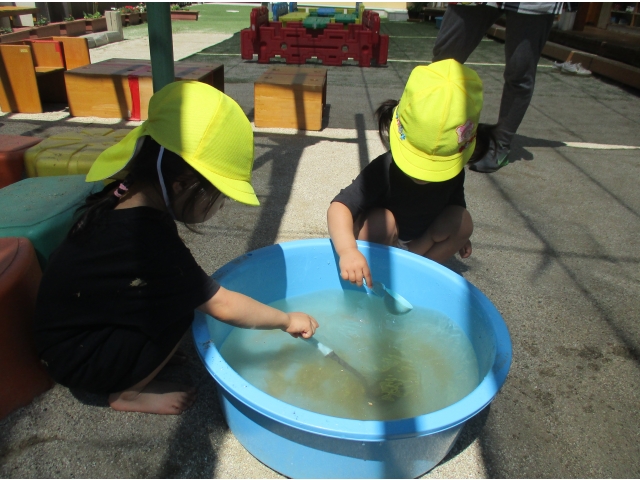 色が変わった！まぜまぜしよう