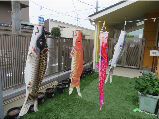 園庭のこいのぼり