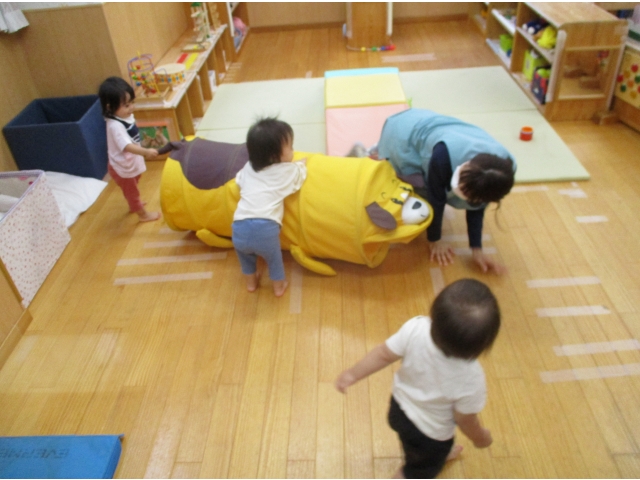 ワンワン可愛い(*^^*)