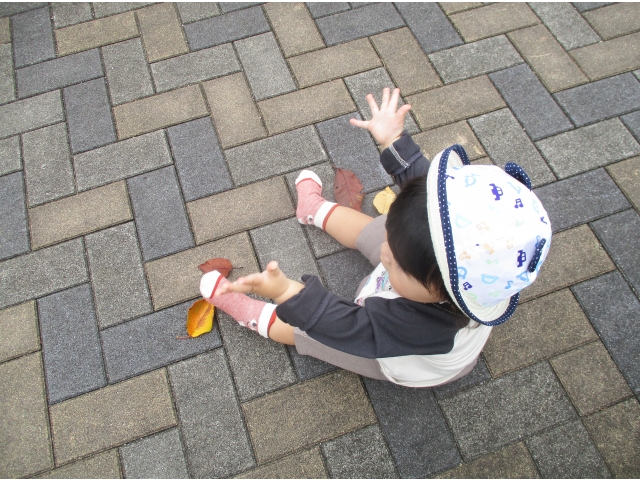 葉っぱひらひら～