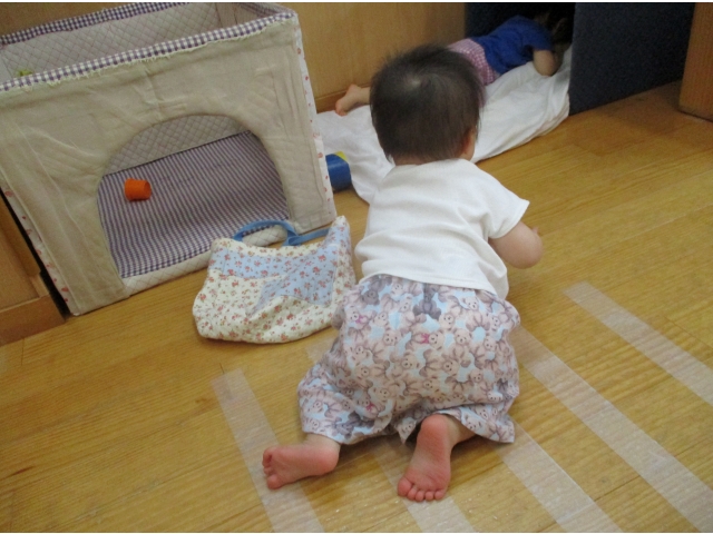 なにしてるの～？