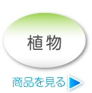 植物
