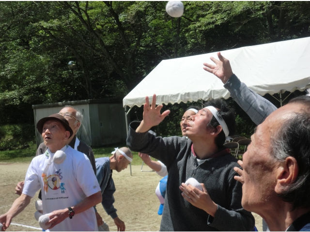 負けるな白組！