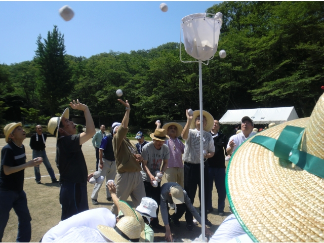 白組がんばれ～