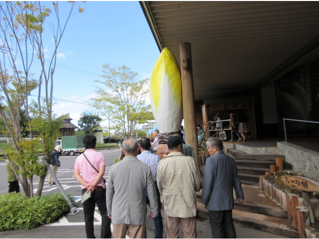 ちこり村に到着！