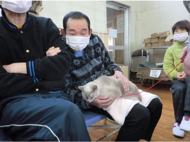 猫だぞー(^^♪