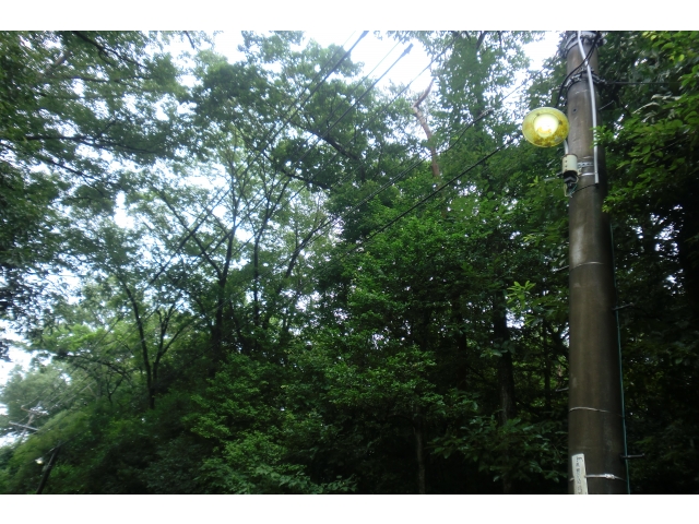 電線周りもスッキリしました。