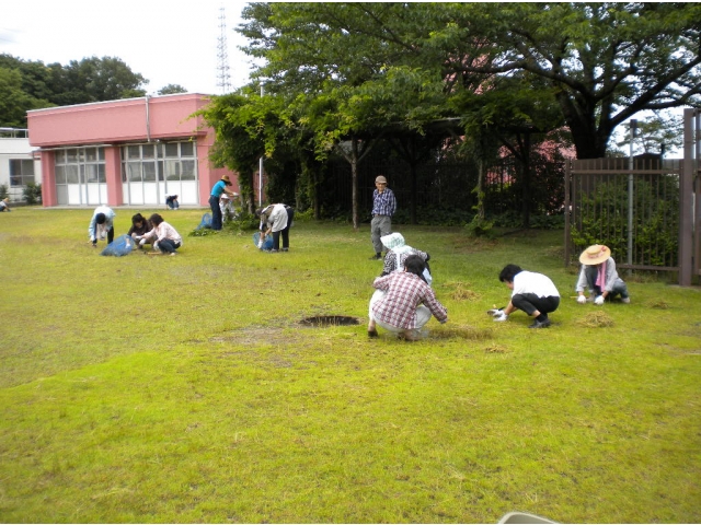 前日からの雨のためグランドが湿った状態で、草取りには最適でした。